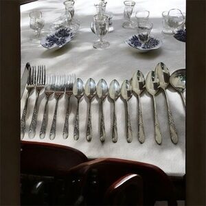 VTG 17 Piece 1950 Oneida Tudor Plate Community Bridal Wreath Floral Pattern